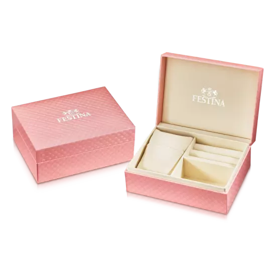 Montre Femme Festina F16790/E