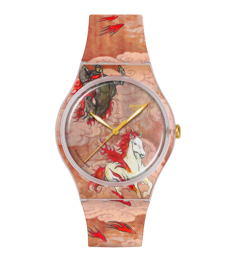 Swatch RIDING THE CLOUDS 41 mm