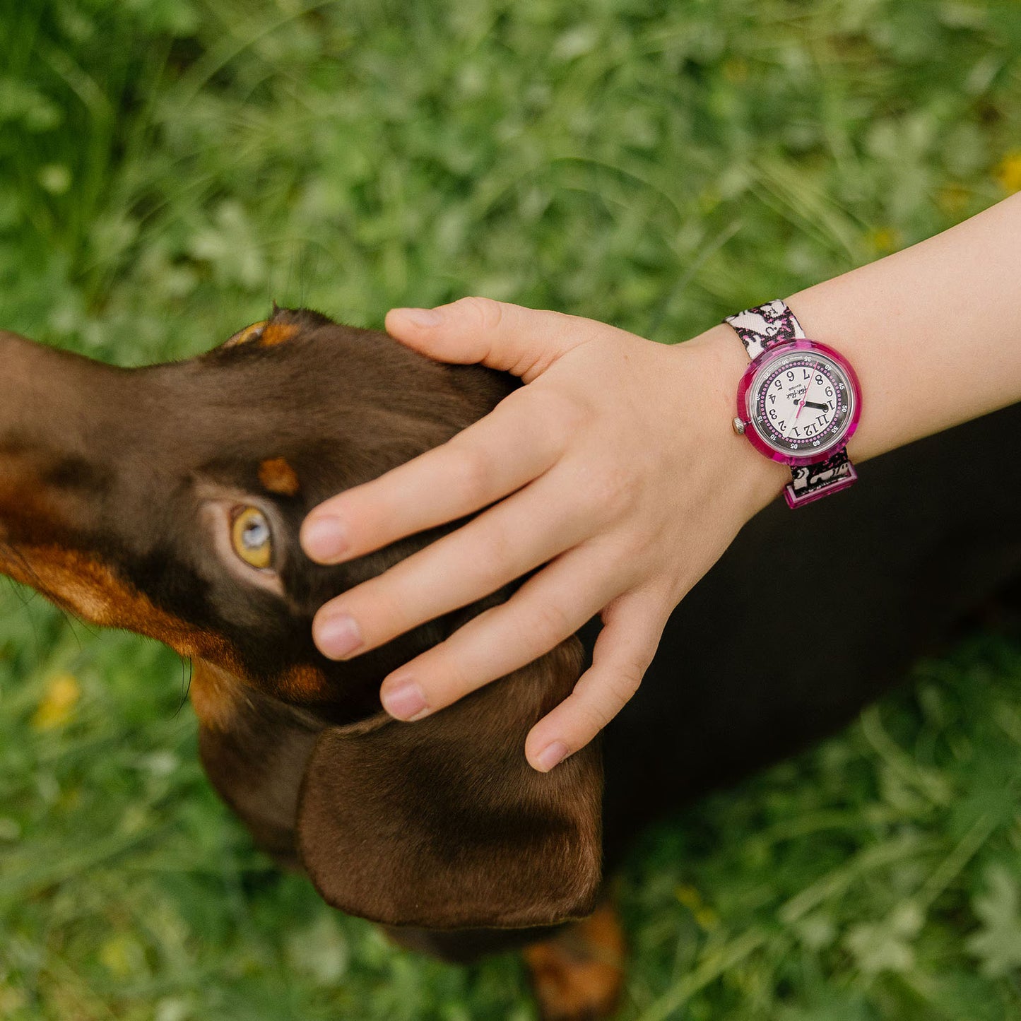 Flik Flak Woof Woof Time ZFPNP163